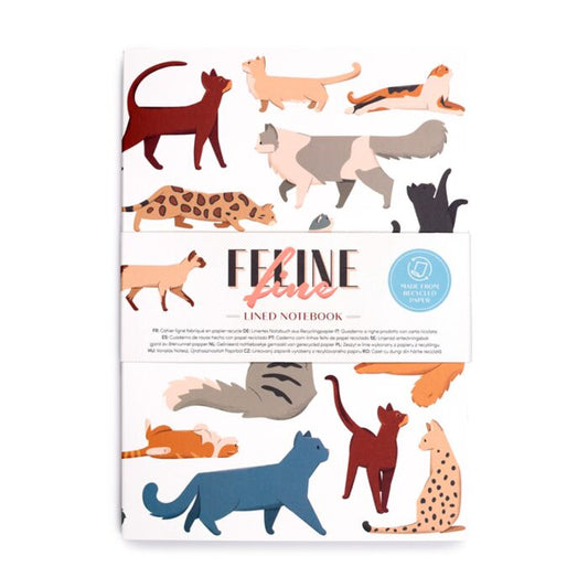 Recycled Paper A5 Lined Notebook - Feline Fine Cats image 0