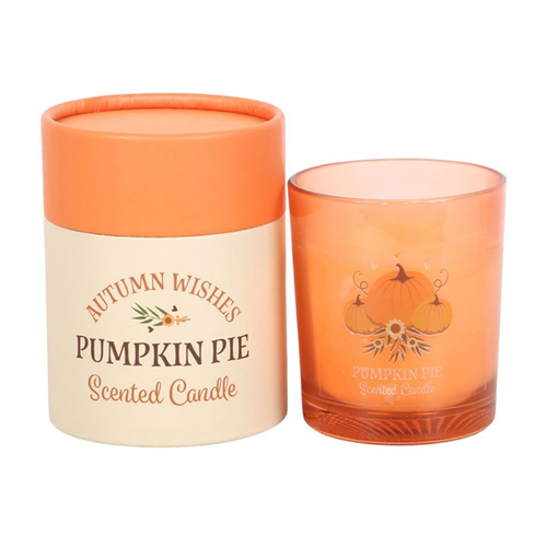 Autumn Wishes Pumpkin Pie Candle image 2